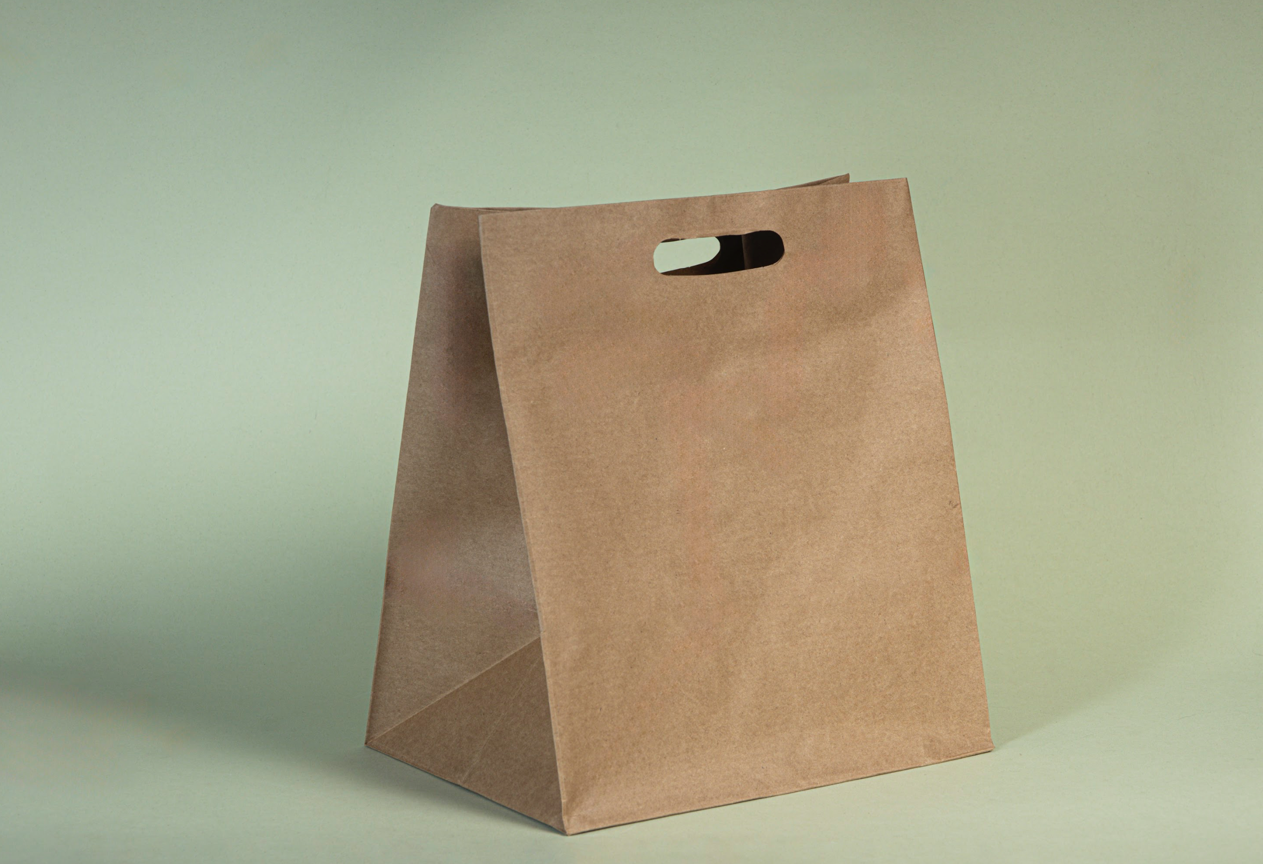 Bolsas Kraft