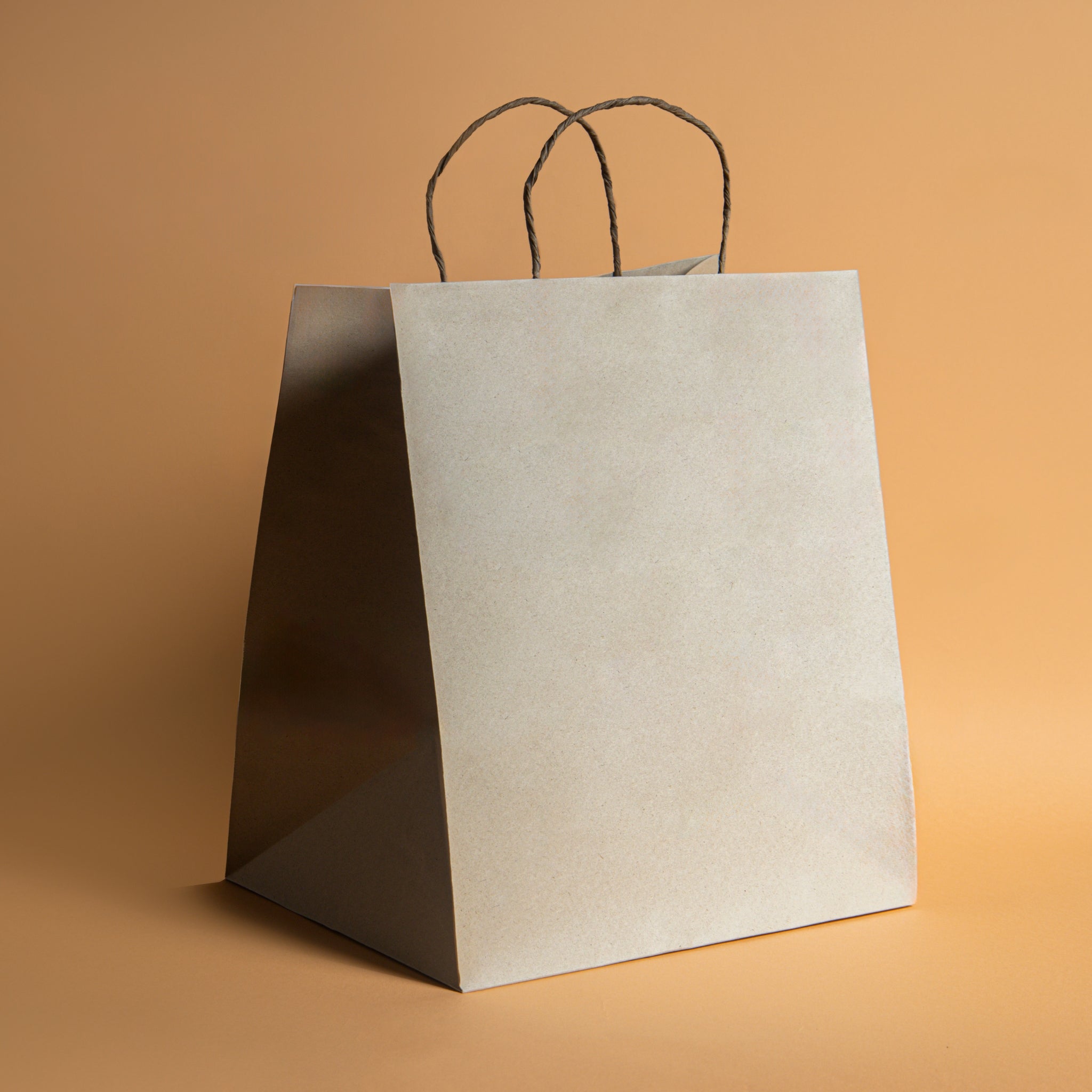 Bolsa eco grande