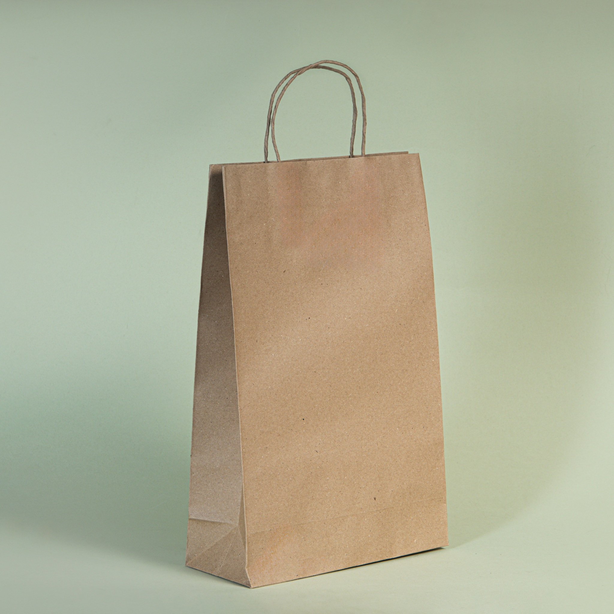 Bolsa kraft mediana