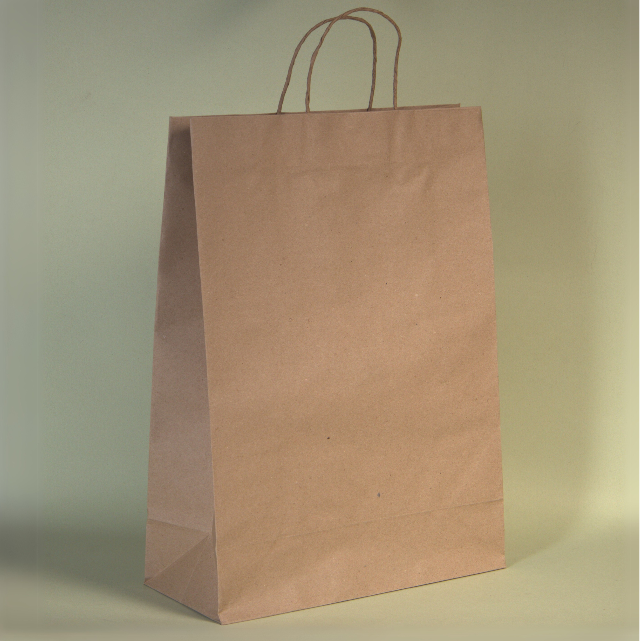 Bolsa kraft grande