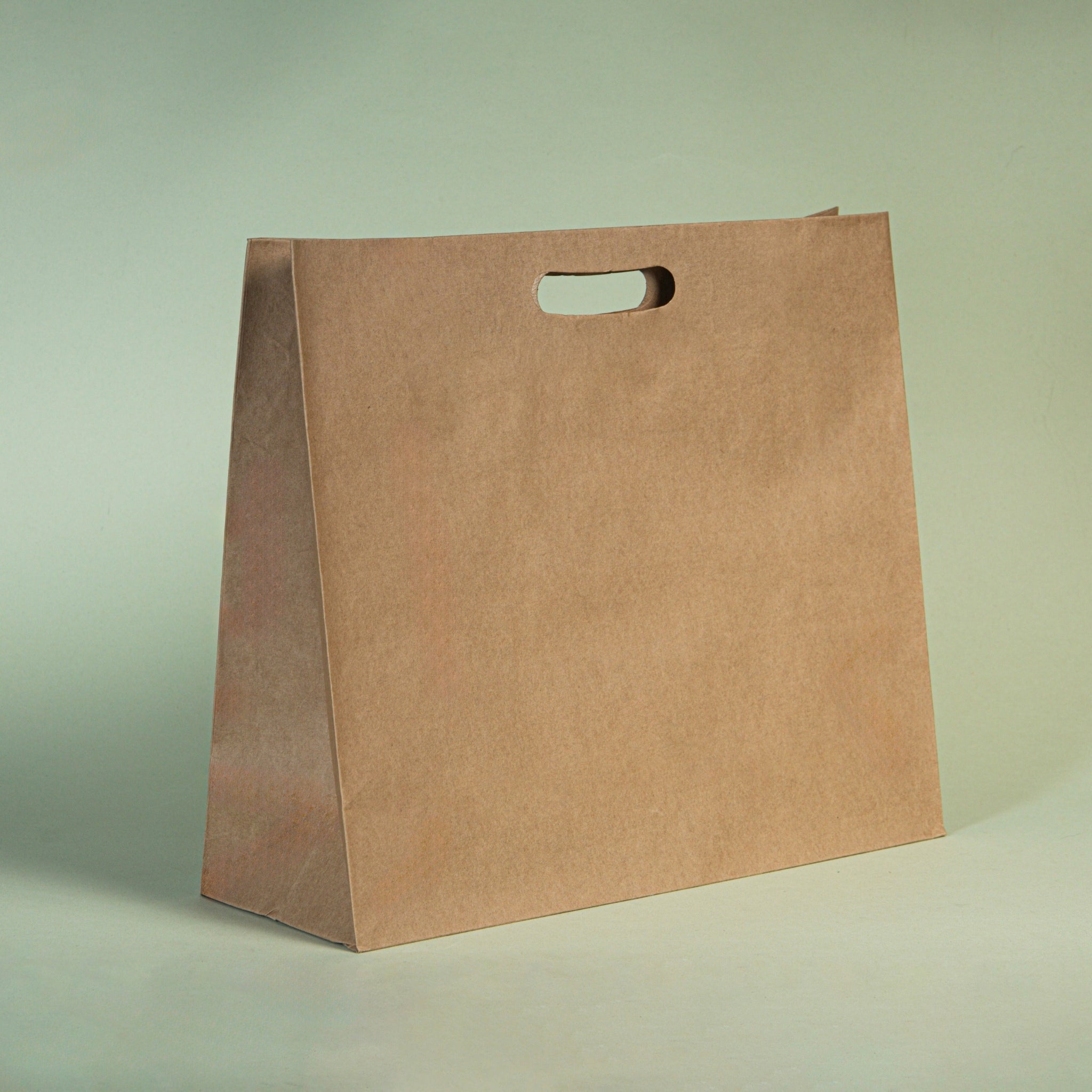 Bolsa kraft manija mediana