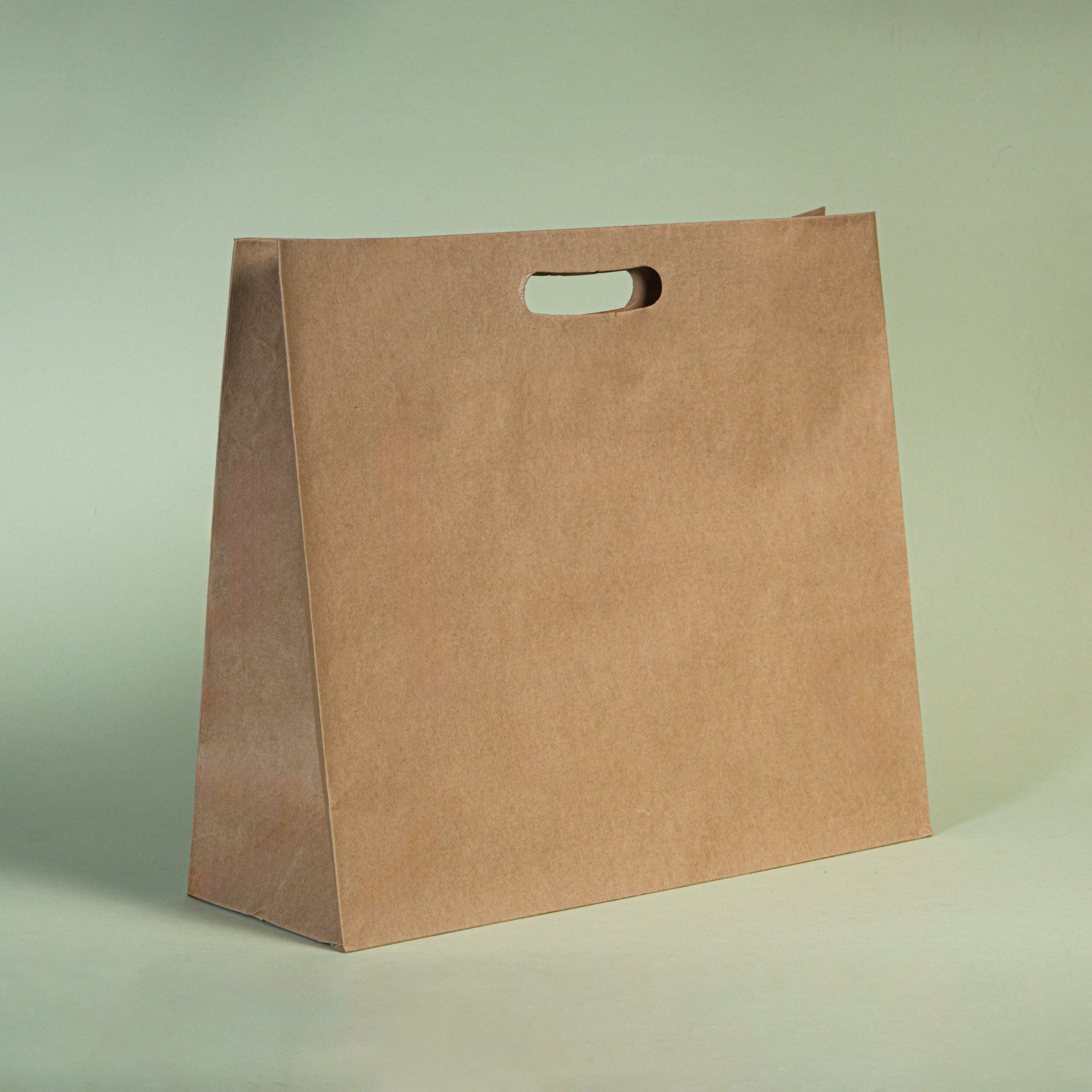 Bolsa kraft manija grande