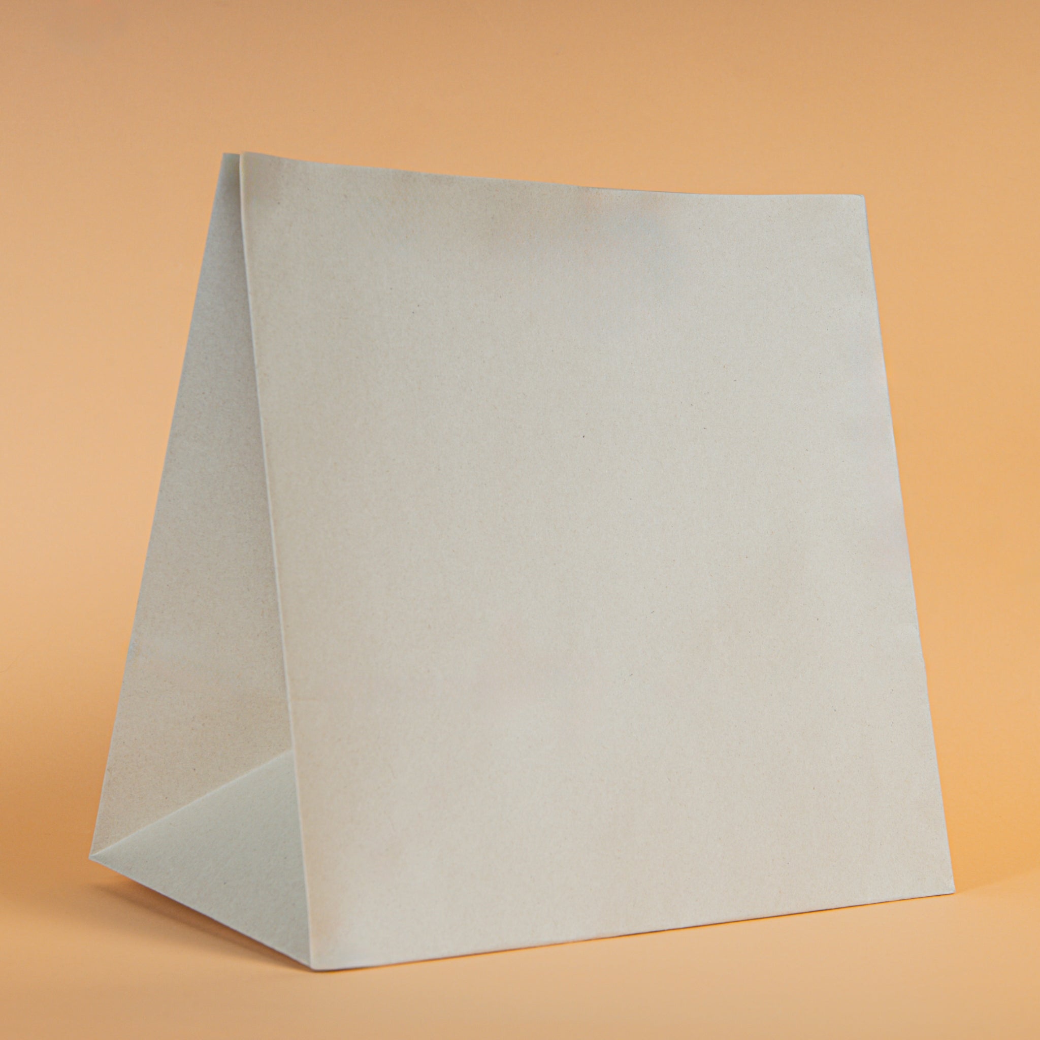 Bolsa kraft restaurante pequeña (blanca)