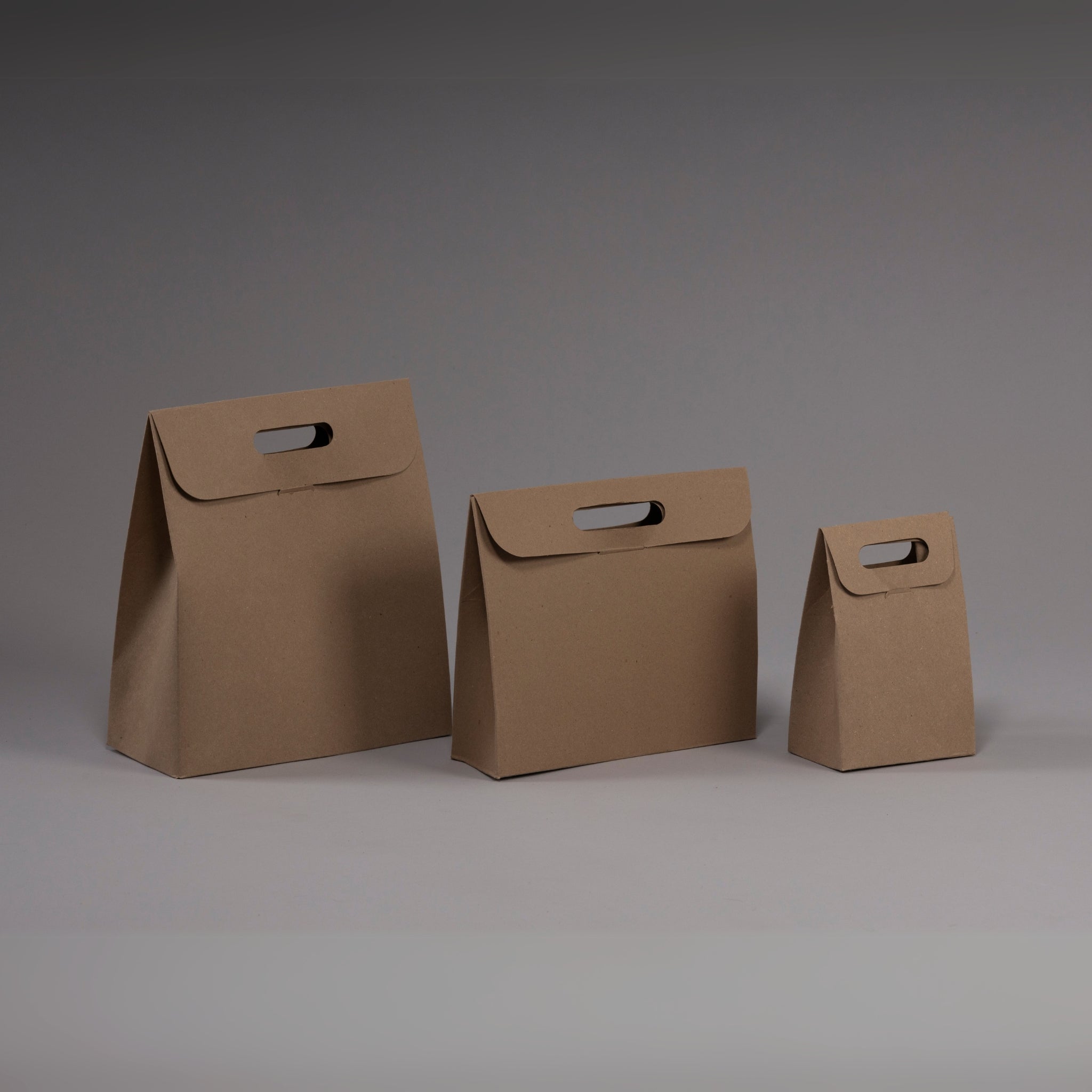 Caja bolsa
