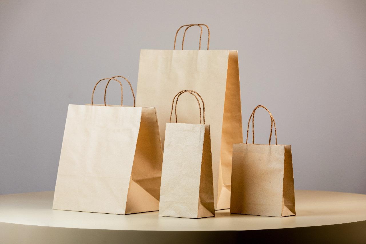 Bolsa eco mediana